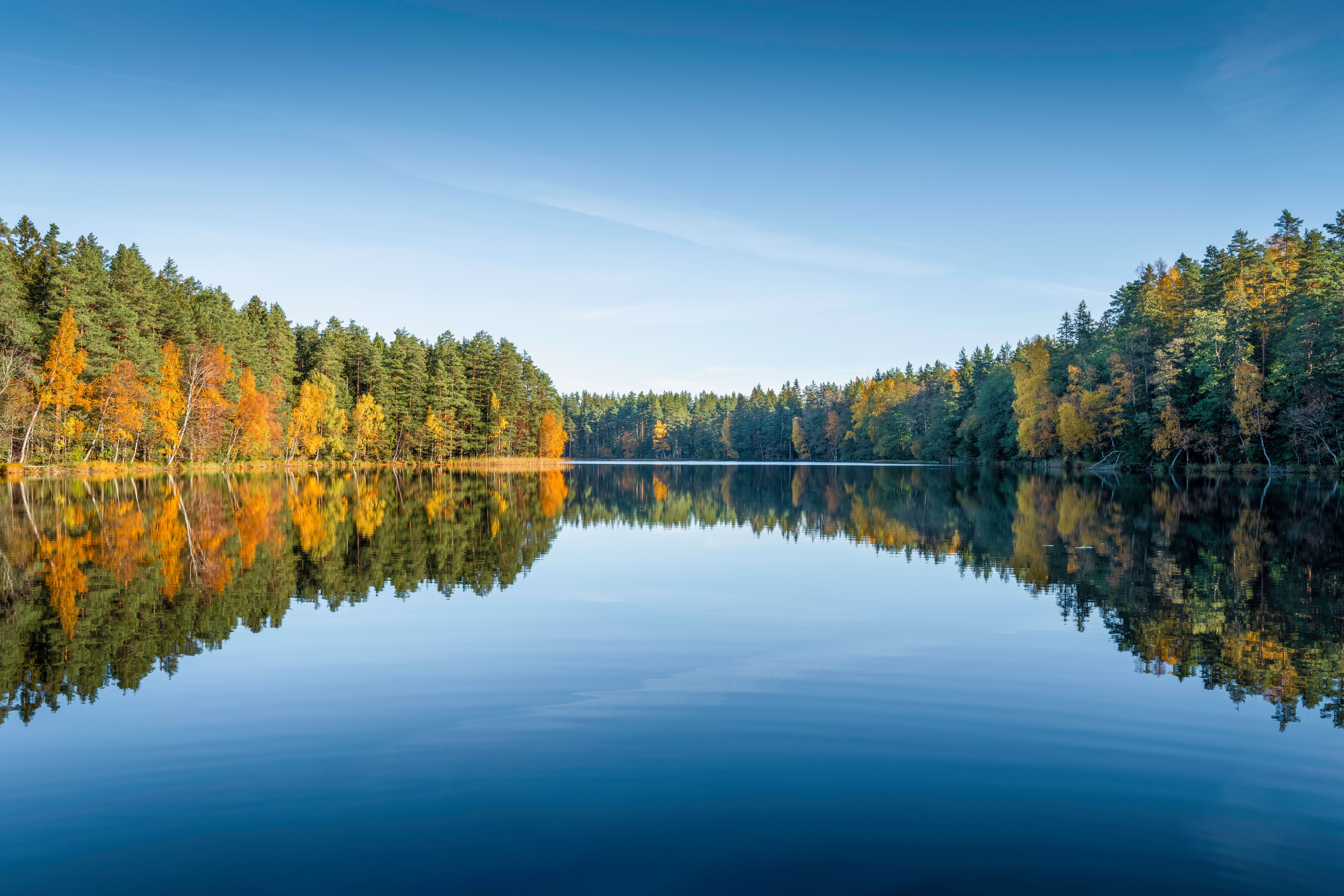 Serene Autumn Lake with Vibrant Reflections · Free Stock Photo