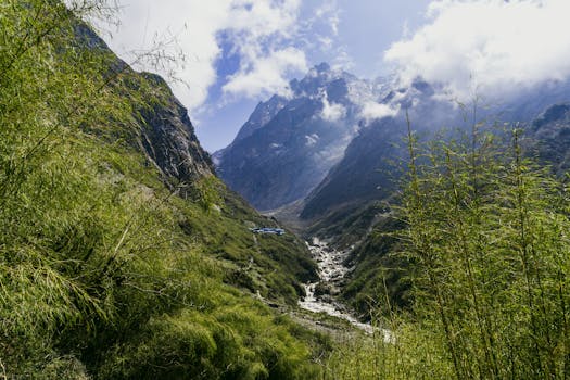 Machu Picchu, Peru photo 7