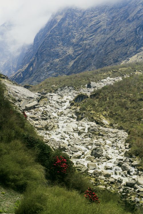 Free Majestic view of Annapurna mountain range in Nepal with rocky terrain and lush vegetation. Stock Photo