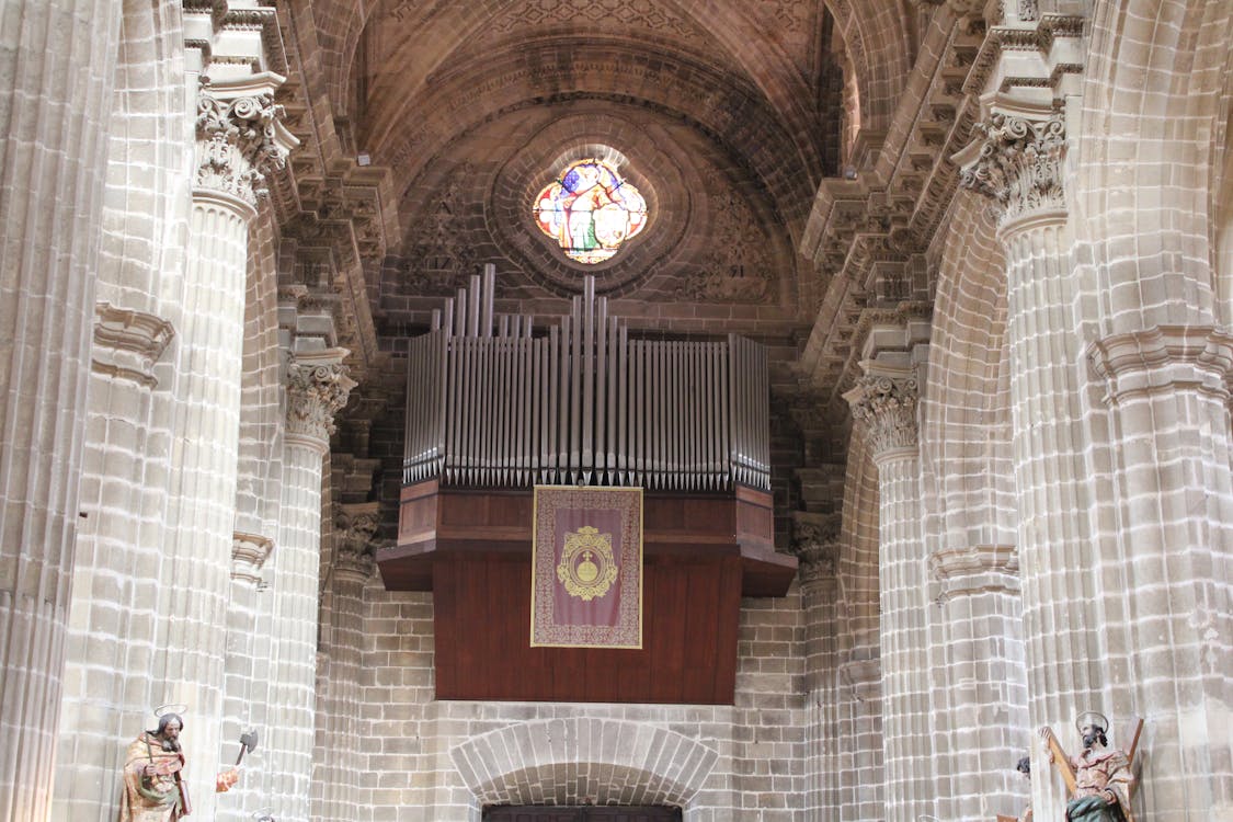 interior de la catedral de Jerez de la Frontera | fotografía 6