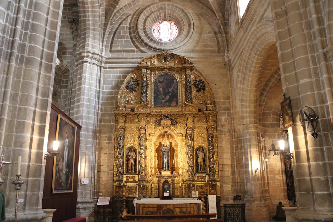 interior de la catedral de Jerez de la Frontera | fotografía 8