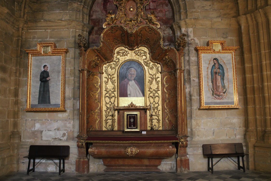 interior de la catedral de Jerez de la Frontera | fotografía 11