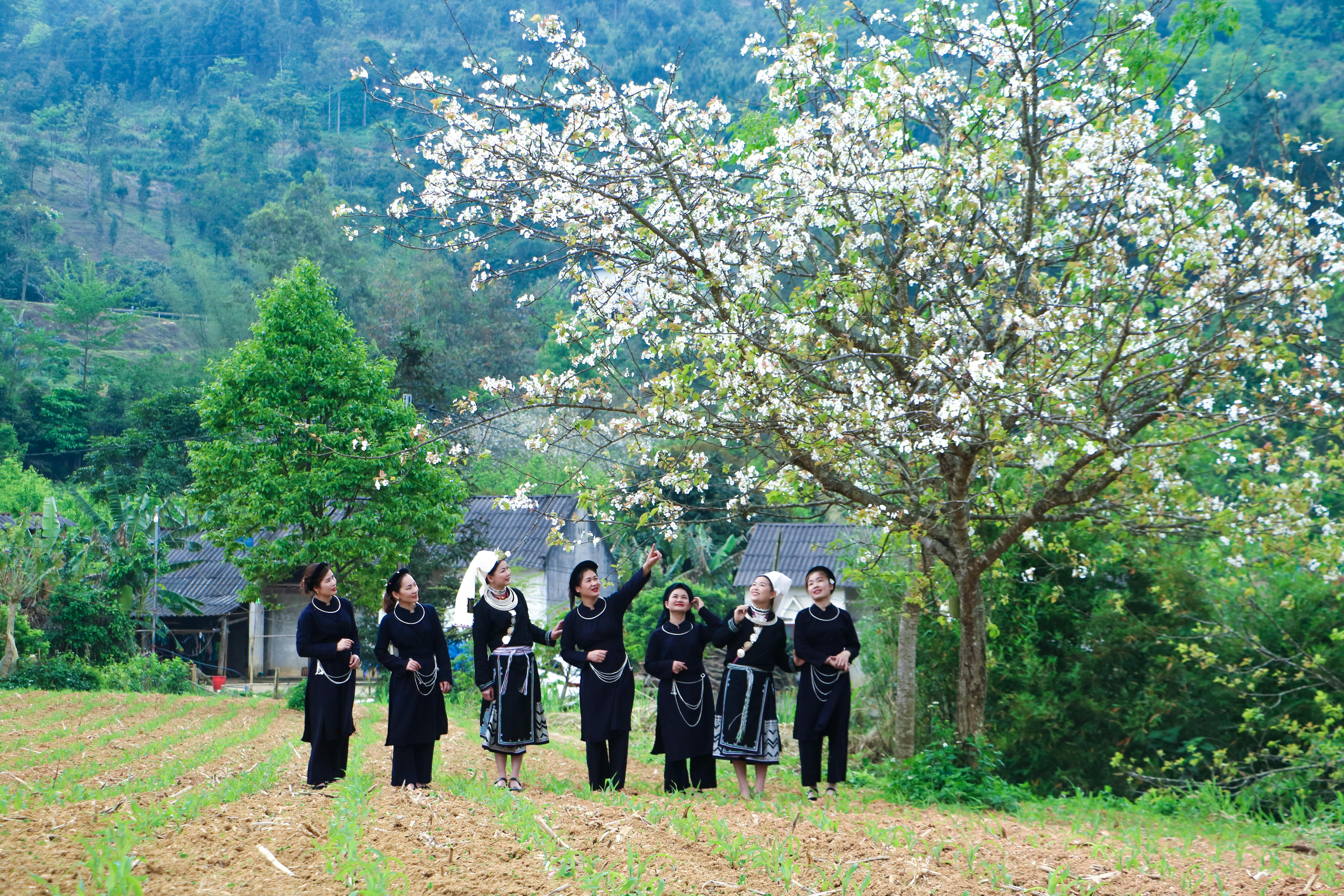 A group of women in traditional attire enjoying spring blossoms in a rural landscape.