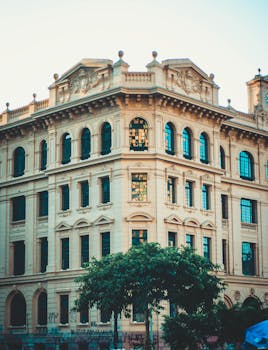 历史建筑立面优雅，兼具装饰性建筑与城市树木景观