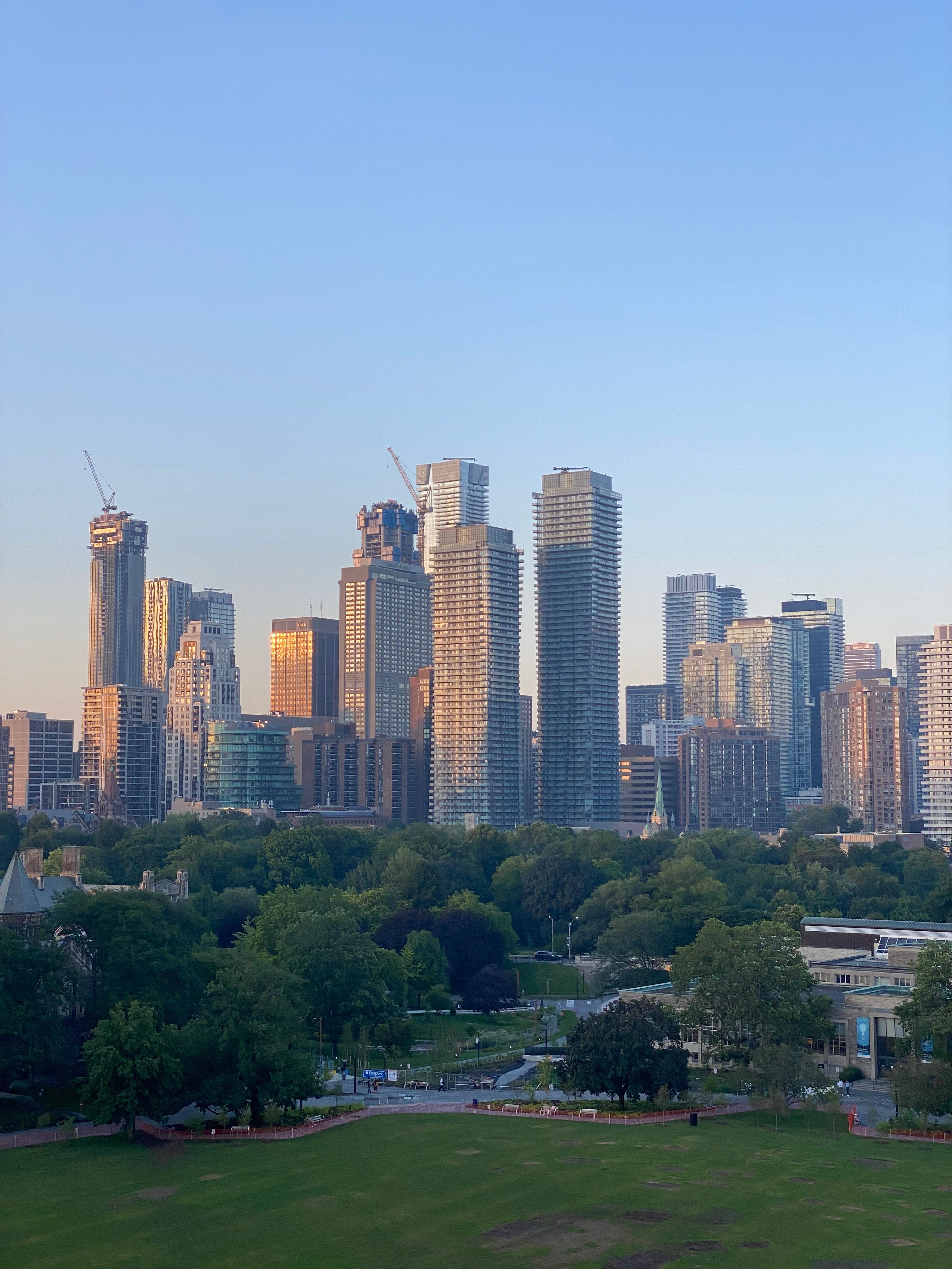 Toronto Cityscape at Dusk from Park View · Free Stock Photo
