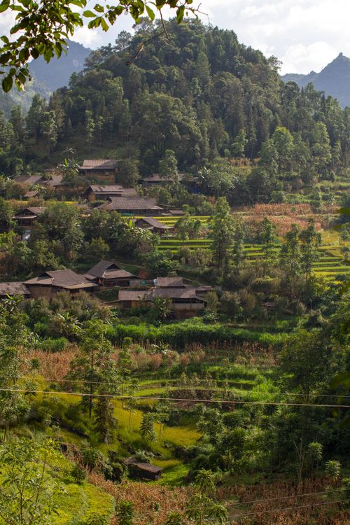 Free Green terraced fields and wooded hills surround a small rural Asian village. Stock Photo