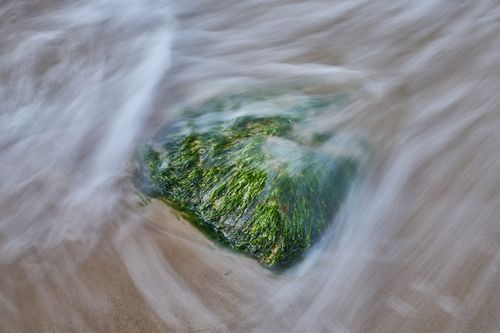 Free Long exposure shot of ocean water flowing over a seaweed-covered rock on a sandy beach. Stock Photo