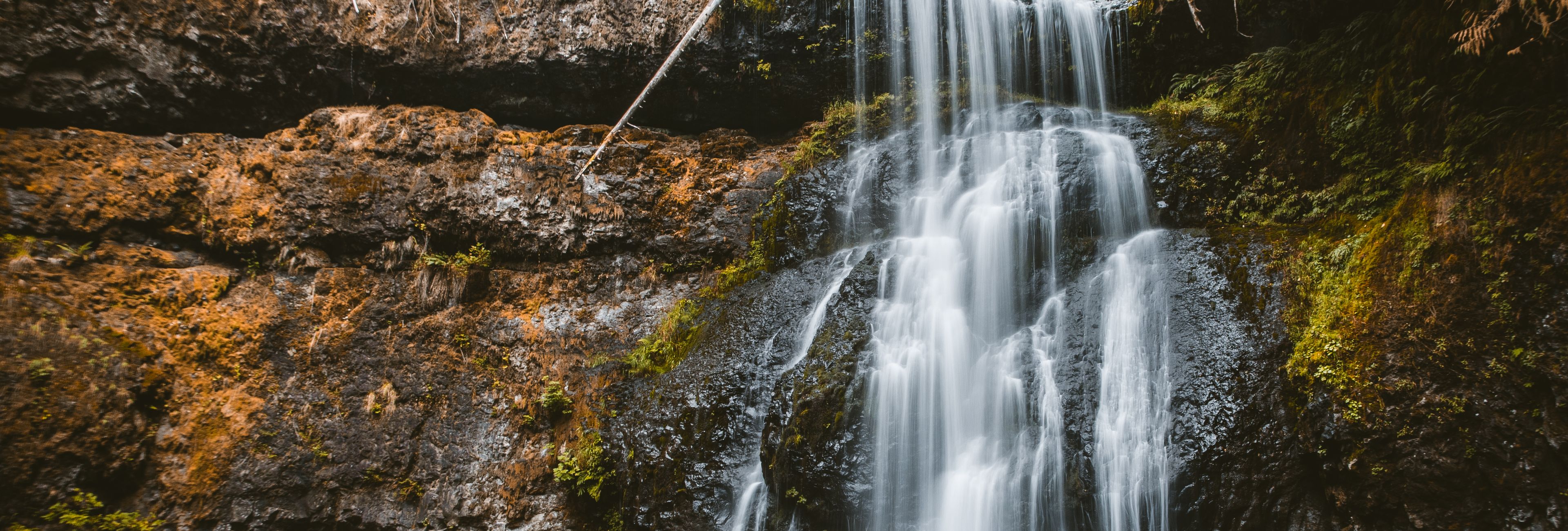 Flow State Mastery: The Neuroscience of Optimal Human Performance (2026)