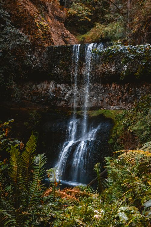 Free A stunning waterfall cascades in Oregon's lush, autumn forest, showcasing nature's beauty. Stock Photo