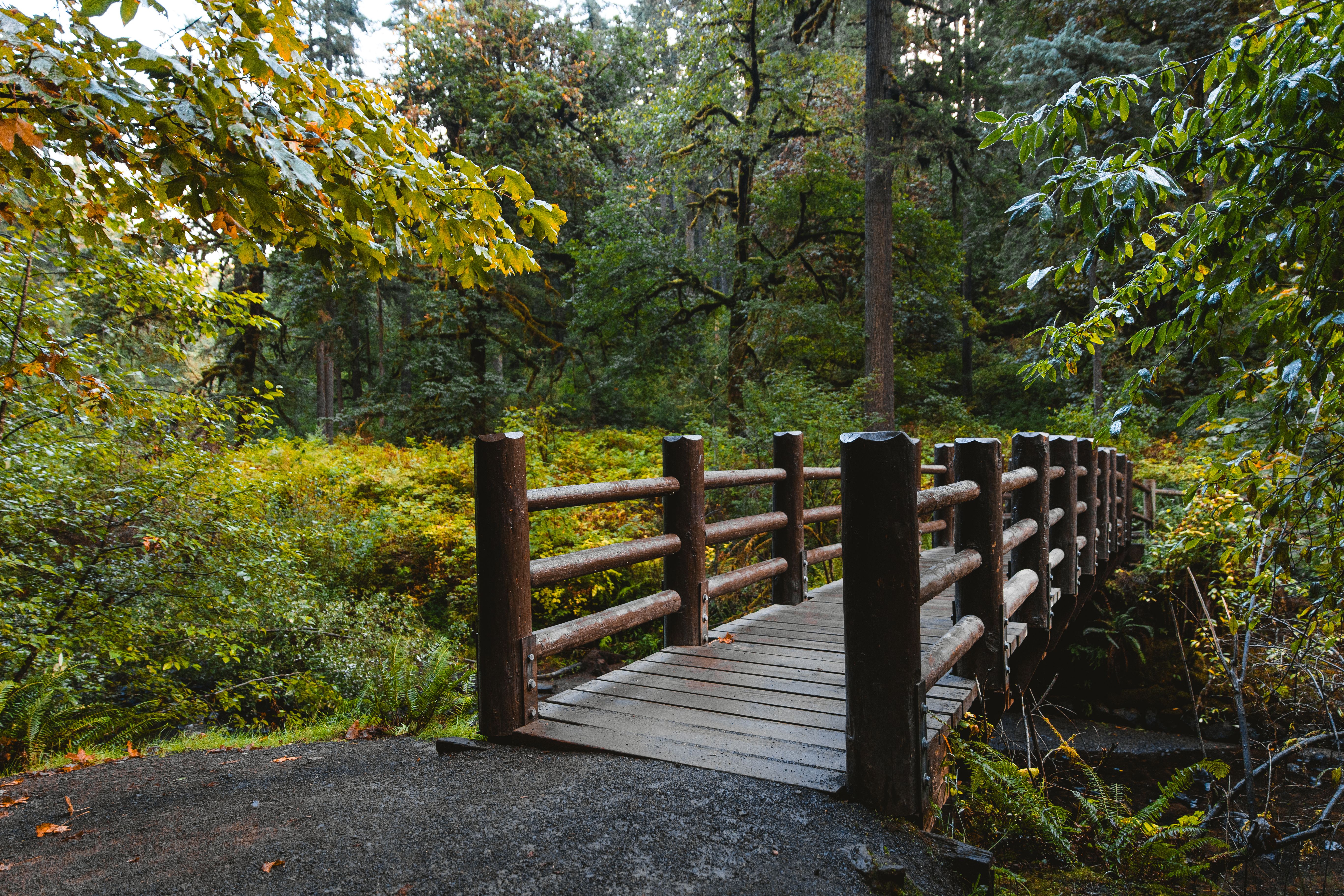 Wallace Falls State Park