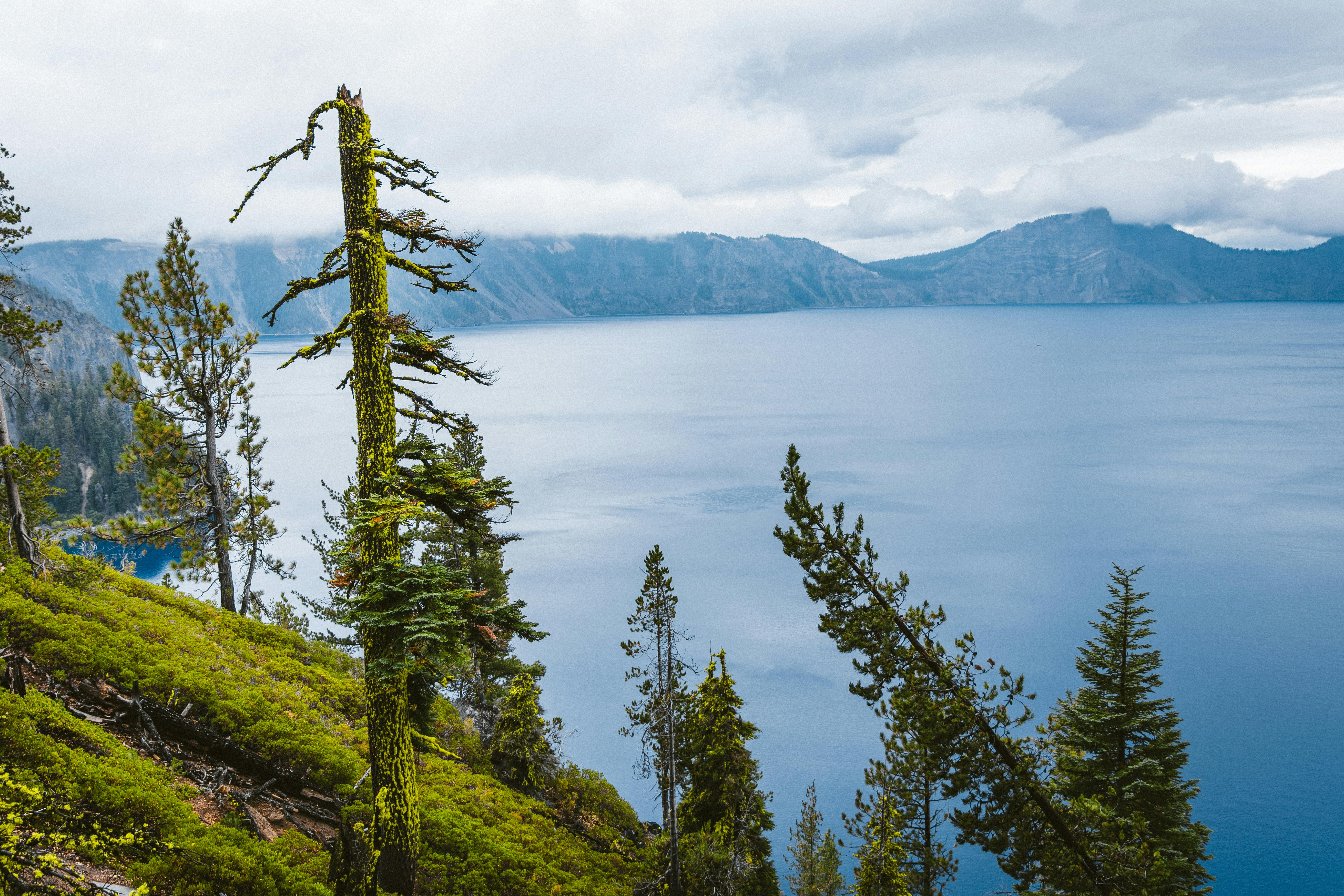 ‘The Precedent Is Flint’: How Oregon’s Data Center Boom Is Supercharging a Water Crisis — Photo by Nicole Seidl on Pexels