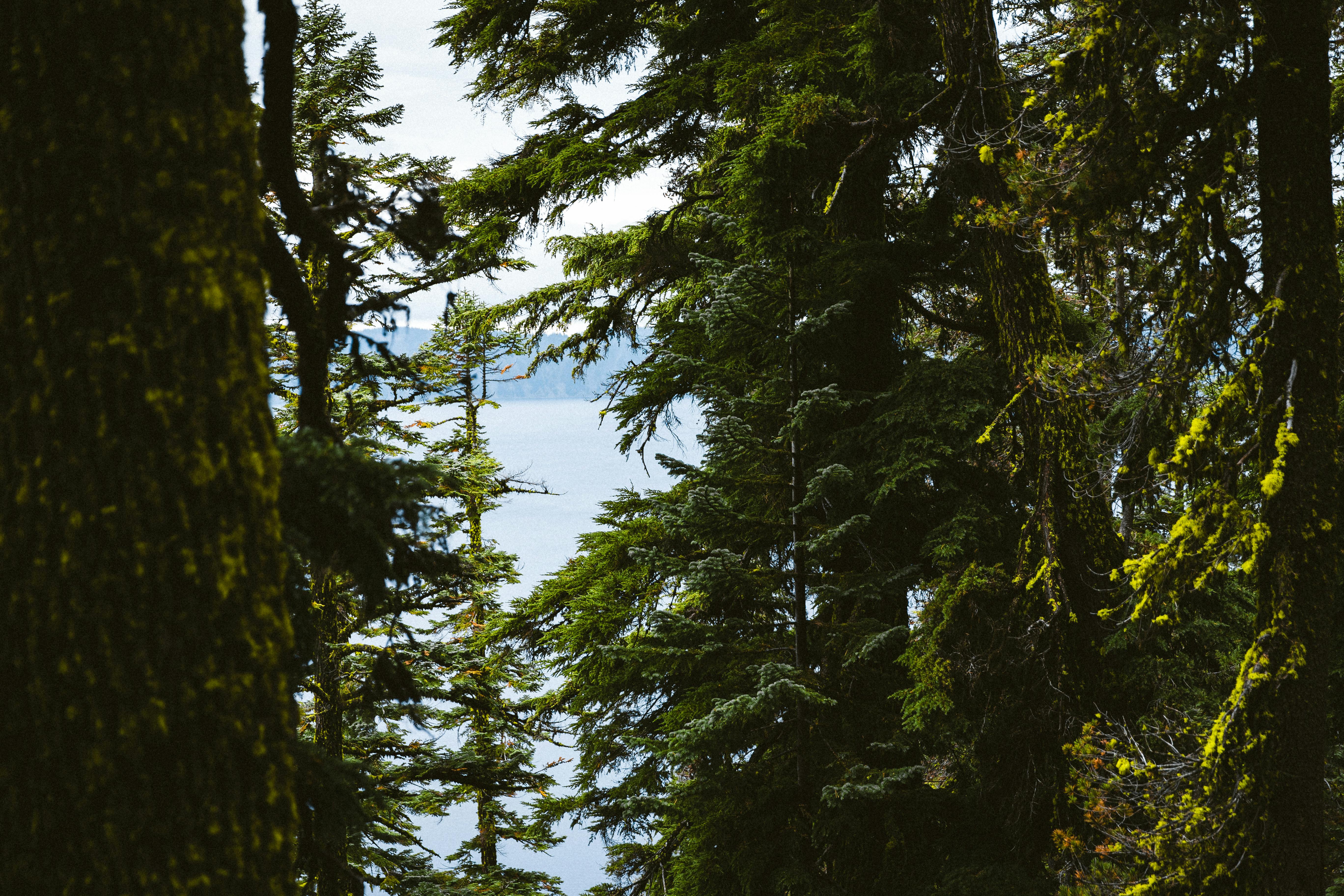 Best Hiking Trails Near Western Washington Neighborhoods in 2023