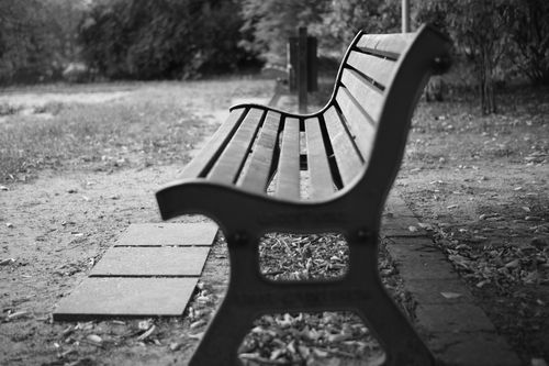 Free Black and white photo of a park bench with autumn leaves, capturing solitude in Berlin. Stock Photo