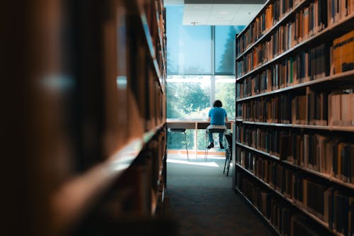 Academic Library Photos, Download The BEST Free Academic Library Stock ...
