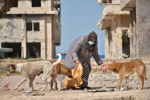 A woman wearing a face mask feeds stray dogs among ruins in Benghazi, Libya.