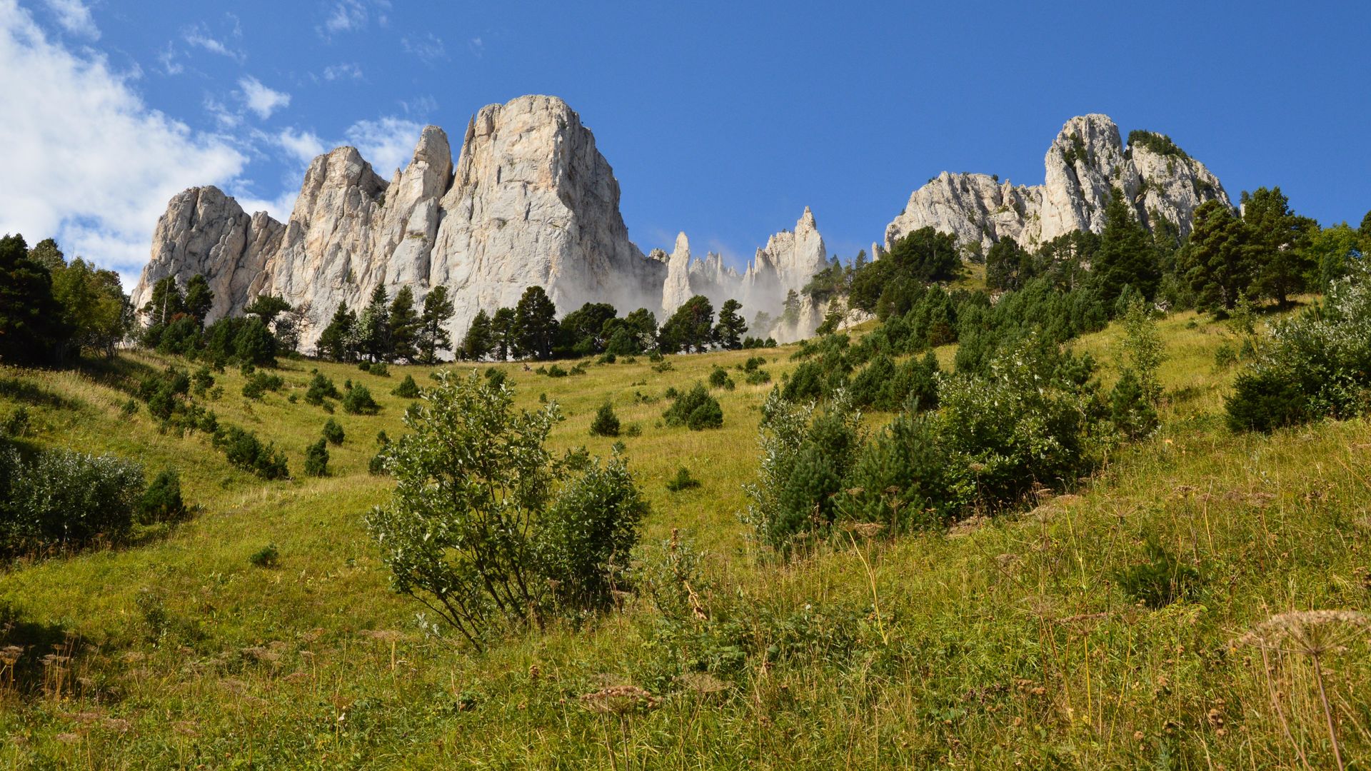 Falaises calcaires au-dessus de prairies et d'arbustes à Chichilianne en été