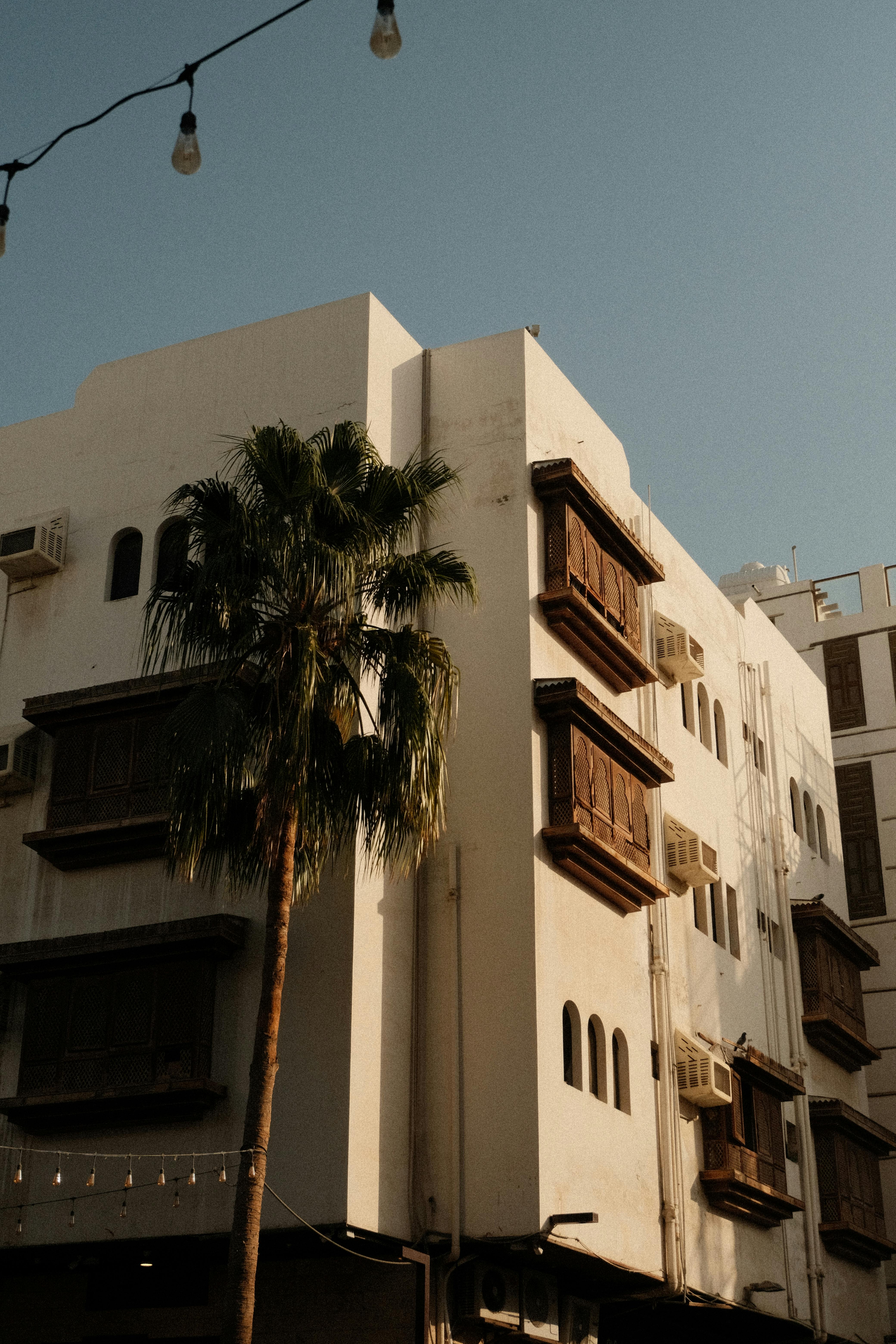Traditional Arabian architecture in Jeddah with wooden windows and palm tree.