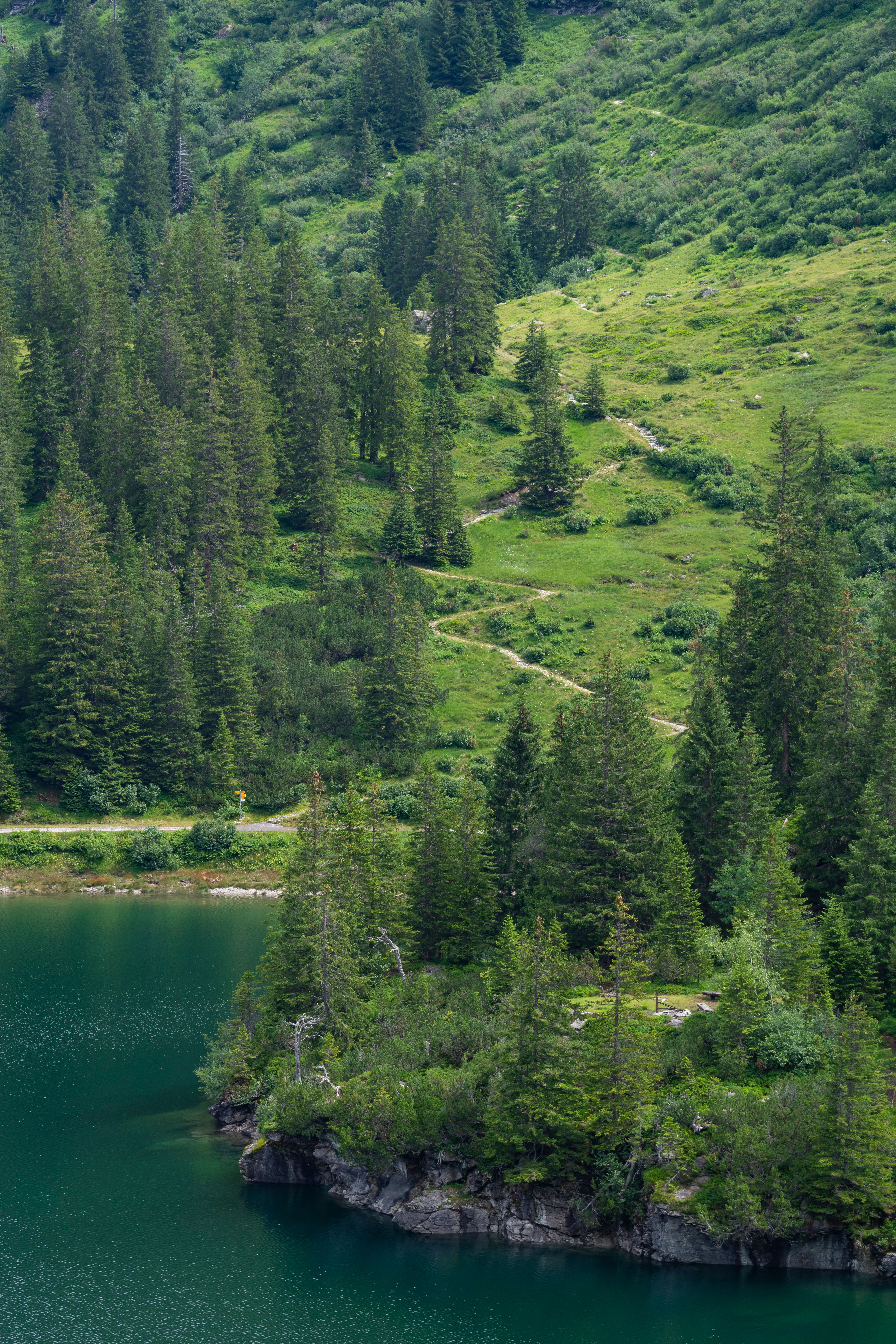 Scenic Mountain Lake Surrounded by Evergreen Forest · Free Stock Photo