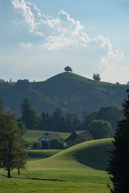 Free A picturesque rural landscape with a lone tree on a hill and a small house nestled in lush greenery under a clear sky. Stock Photo