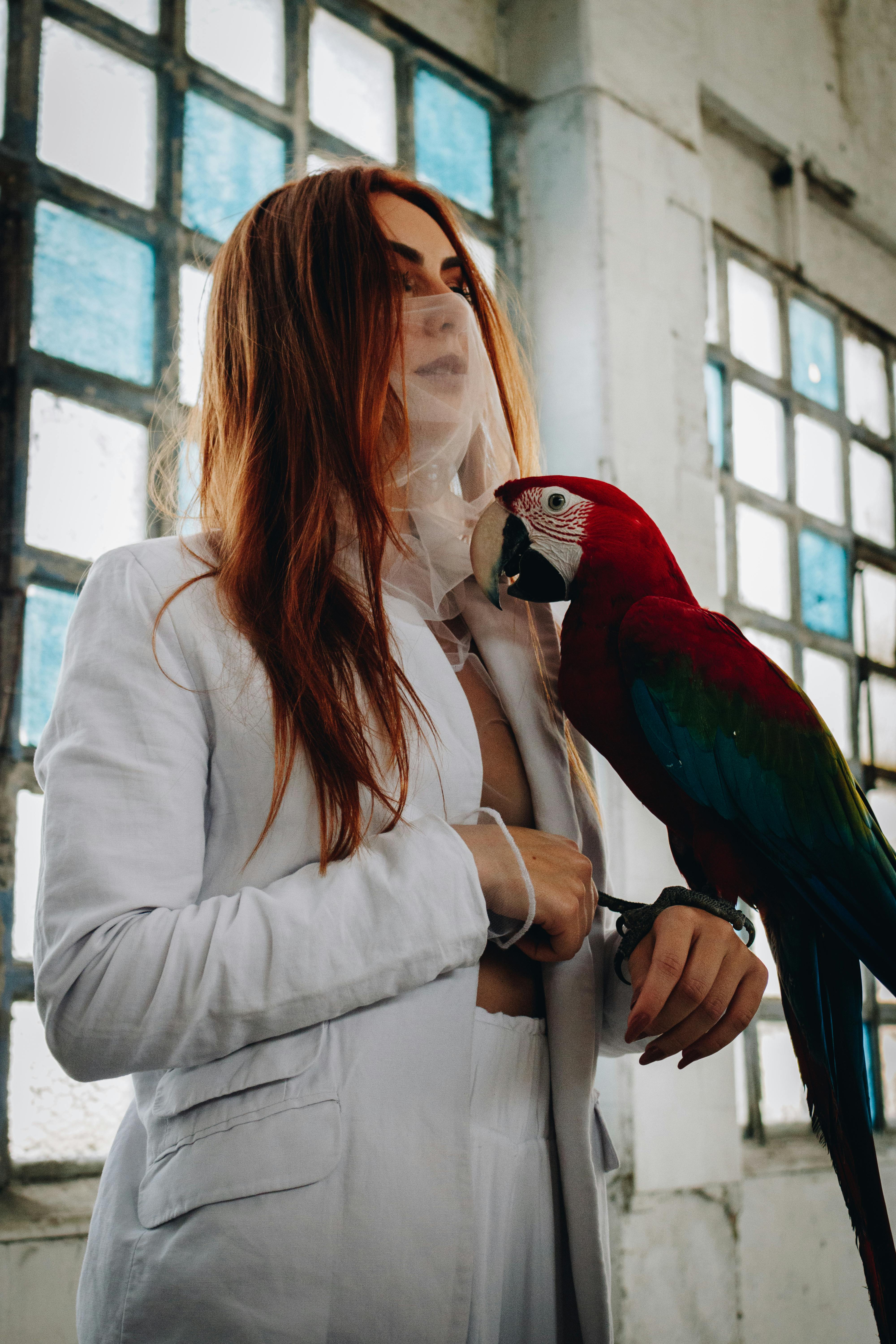 A Macaw perching on woman's hand | Photo: Pexels