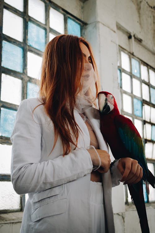 Foto Macaw Bertengger Di Tangan Wanita