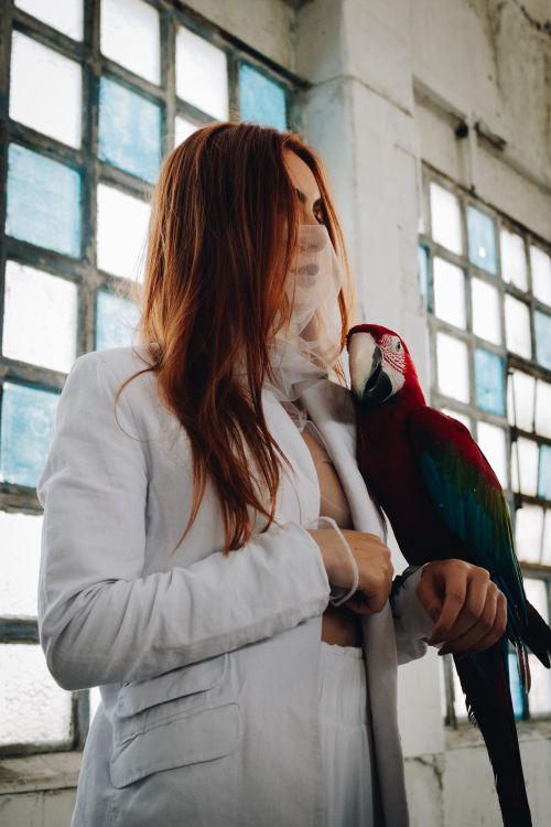 Free Stylish woman with red hair poses indoors with vibrant macaw on hand. Stock Photo