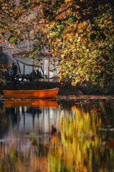 Image by Peyvand Pezeshki