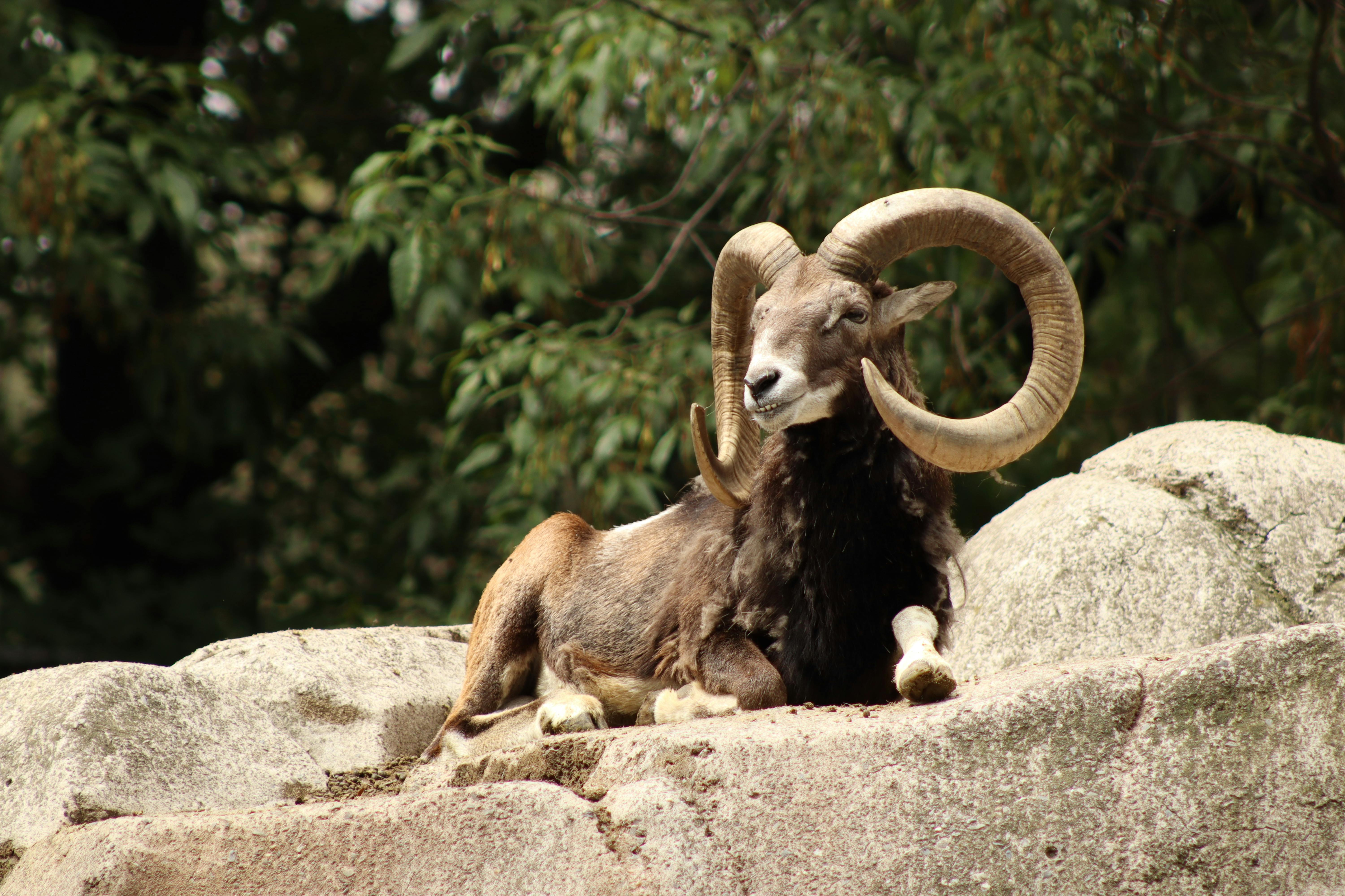 Big Horn Outdoor Adventure Show - Spokane and North Idaho community calendar - The Spokesman — Photo by Diego Martinez on Pex