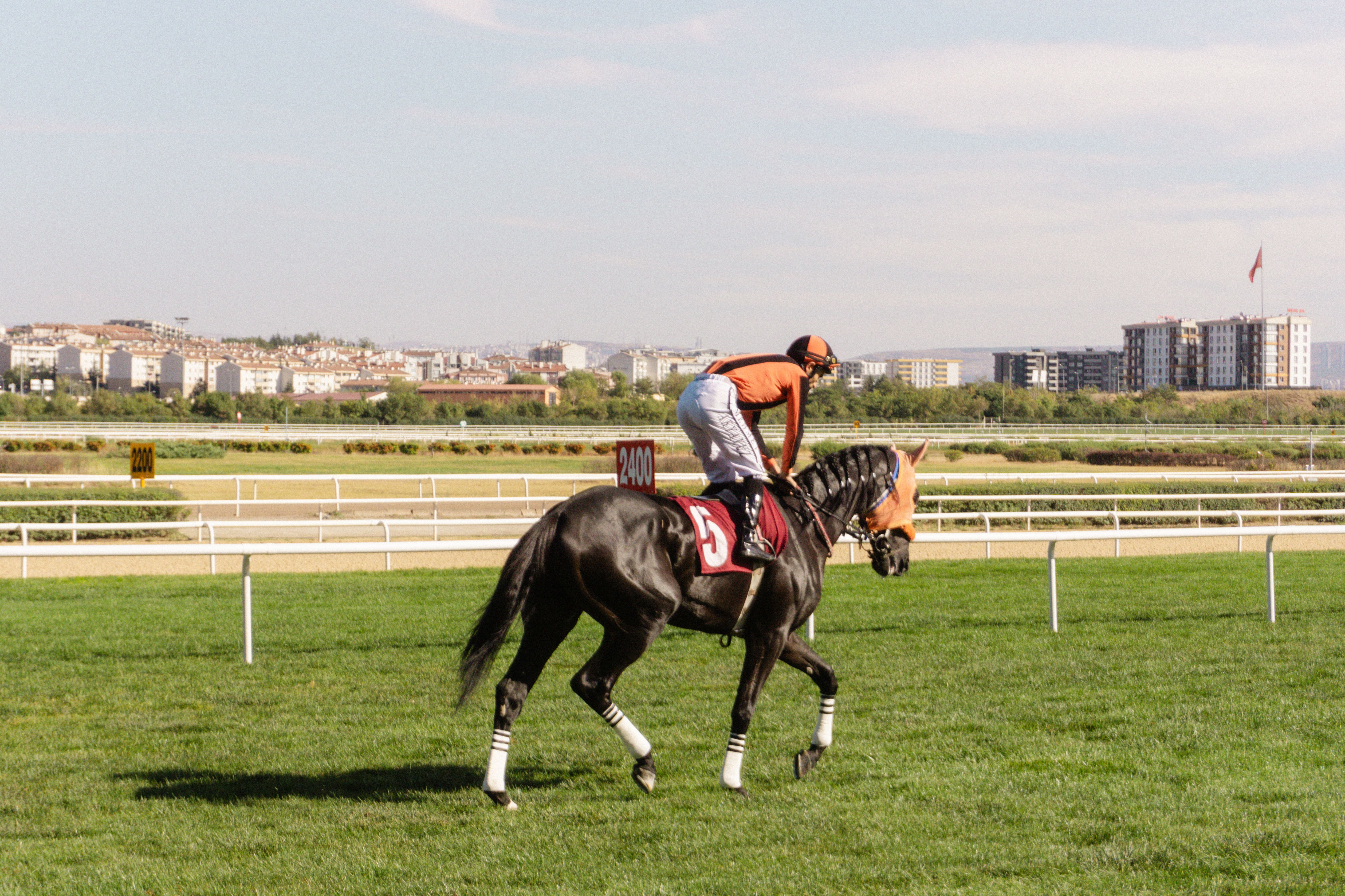 Jockey