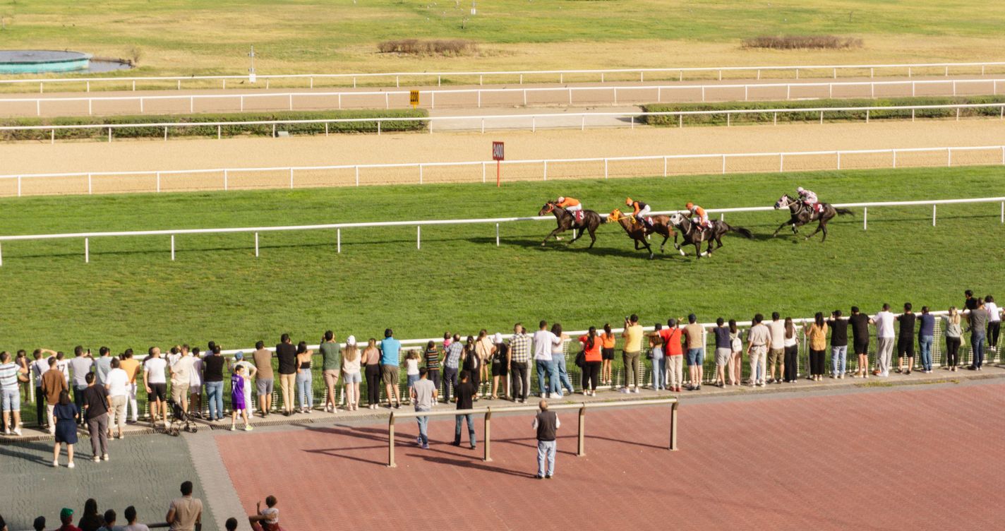 Spectateurs suivant une course hippique dans les tribunes d'un hippodrome par une journée ensoleillée