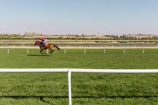 Racecourse fined after jockey taken to A&E in horsebox