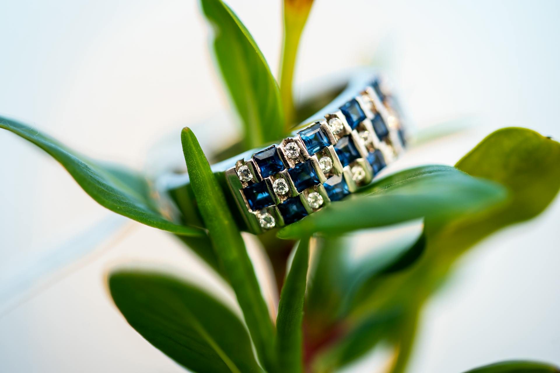 Close-up of a sapphire and diamond ring nestled in vibrant green leaves, showcasing elegance and nature.