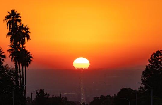 Vibrant orange sunset over palm trees in Highland, CA captured on a clear fall evening.