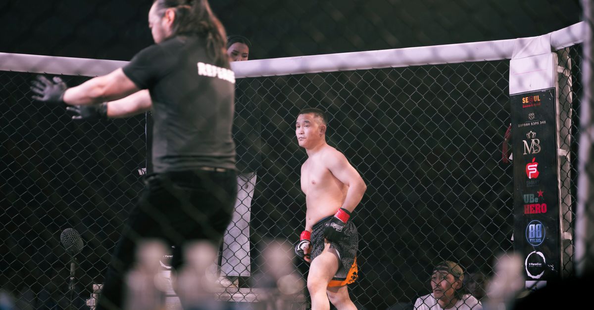 Nassourdine Imavov : Combats et Palmarès MMA