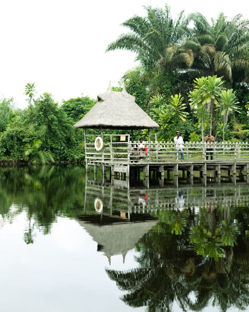 Free Peaceful riverside scene with a wooden gazebo and lush greenery in a tropical environment. Stock Photo