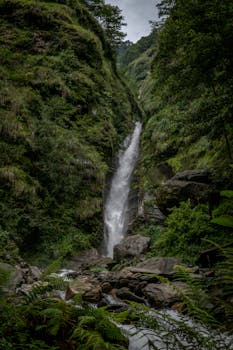 这是一张拍摄于茂密绿色丛林中的瀑布长曝光照片，令人惊叹，非常适合自然摄影