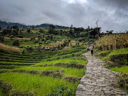 Gratis arkivbilde med fottur, gård, ghandruk