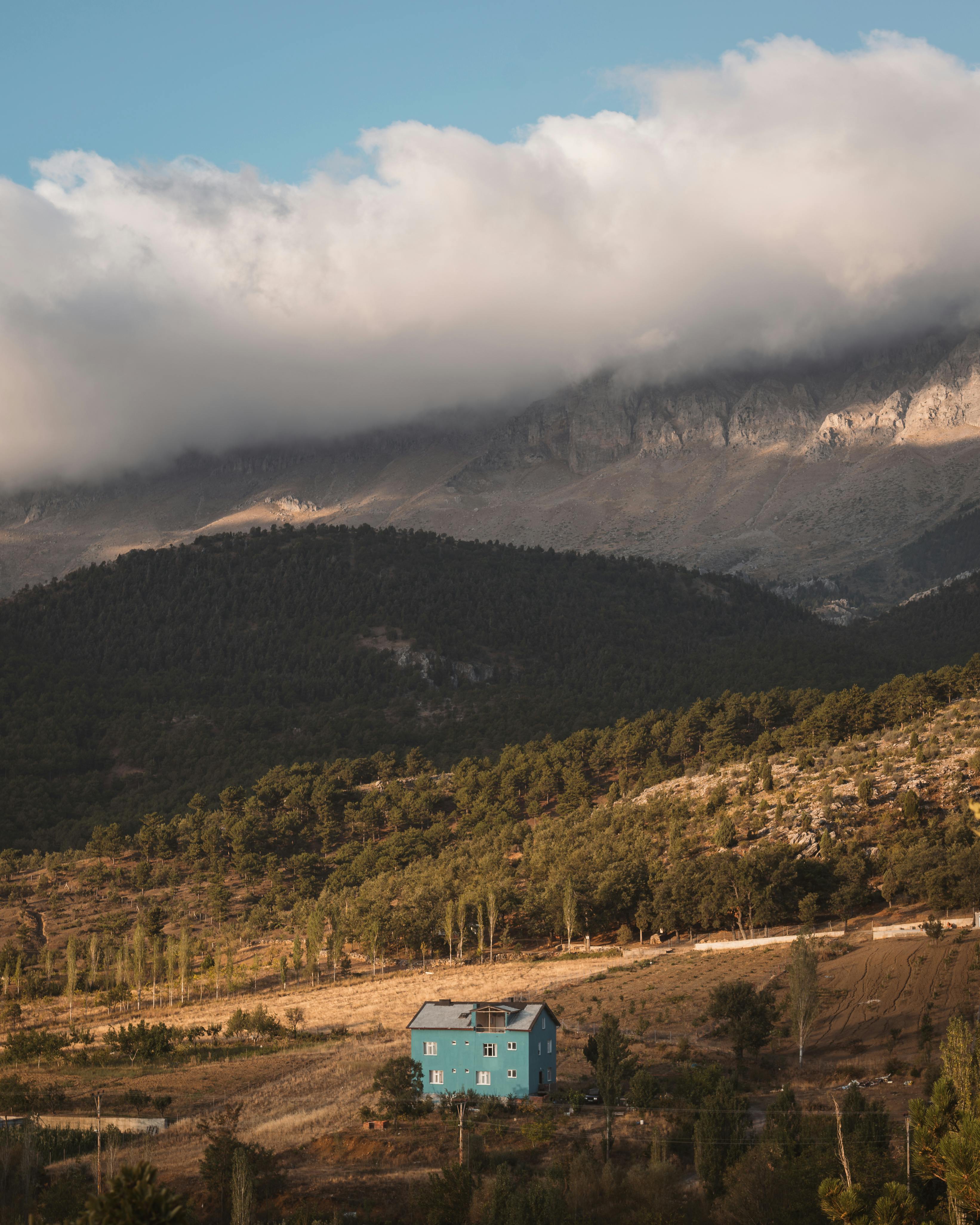 Bakırköy'de Aile Ev Rehberi: Güvenli ve Huzurlu Bir Komşuluk İçin Bilmeniz Gerekenler