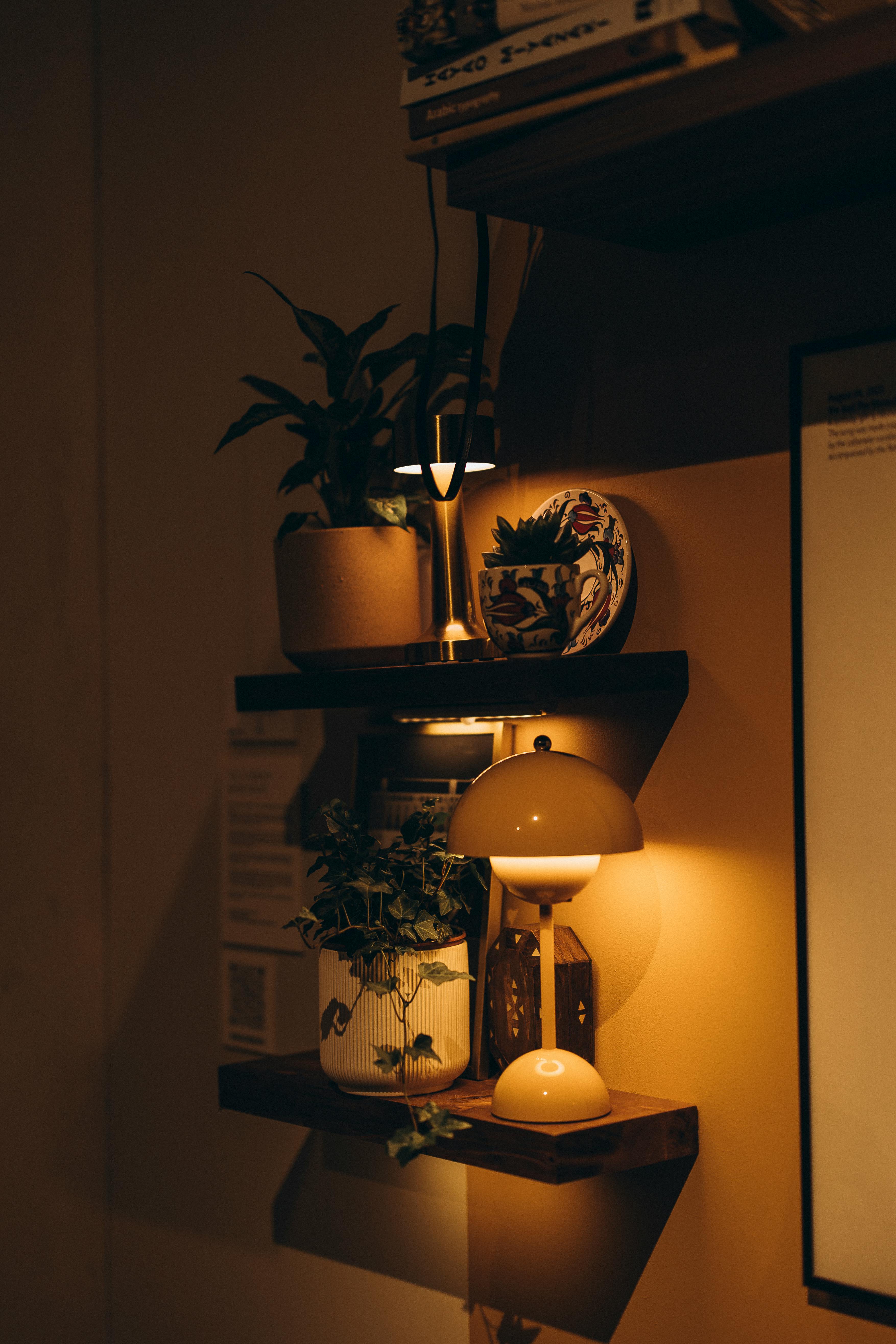 Miễn phí Trang Trí Nội Thất ấm Cúng Với ánh Sáng ấm áp Ảnh lưu trữ