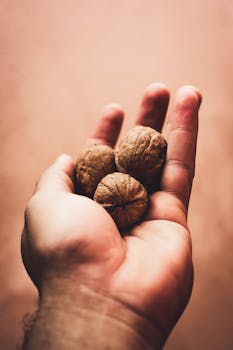 walnuts image 3
