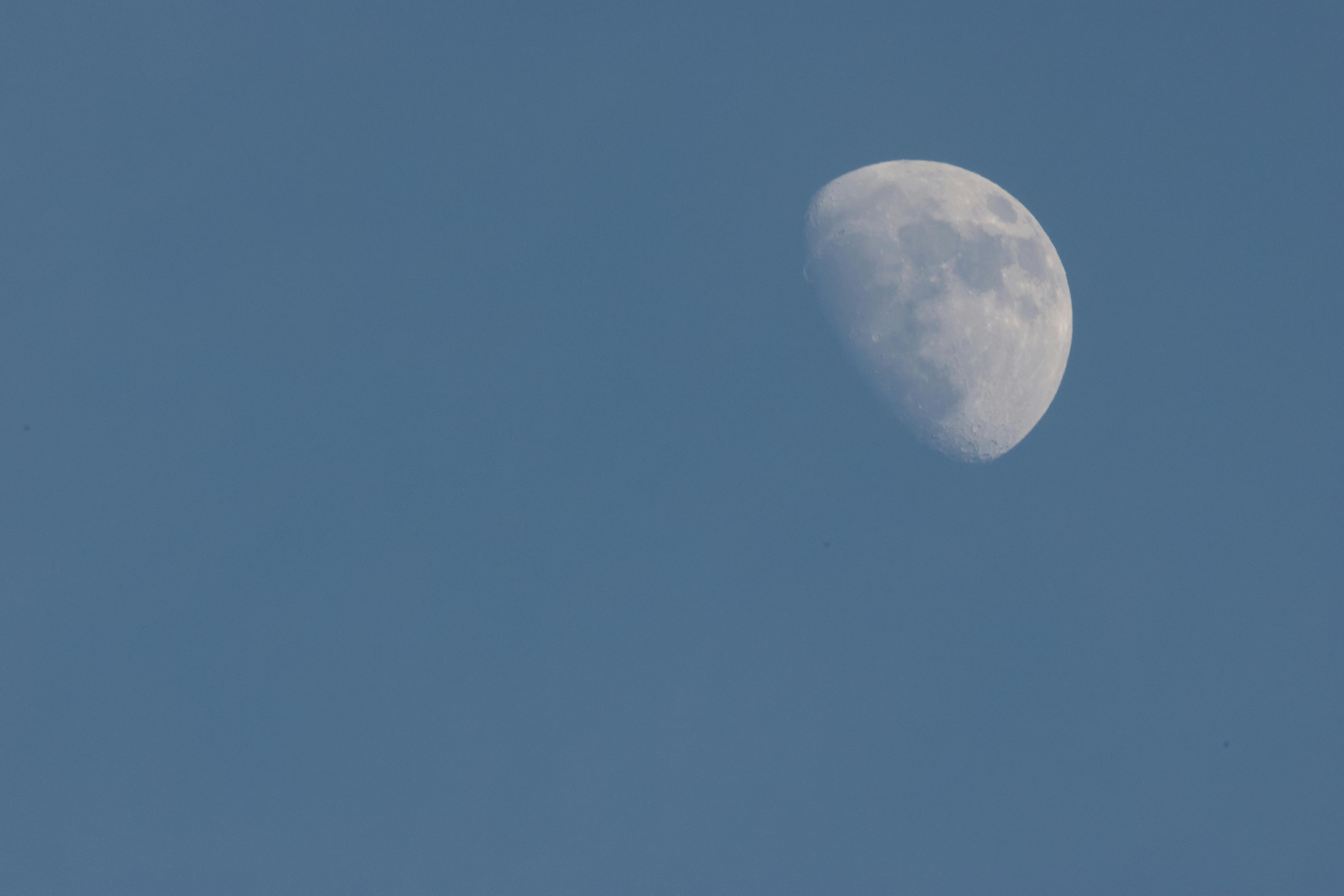 A clear view of the daytime sky featuring a prominent half moon.