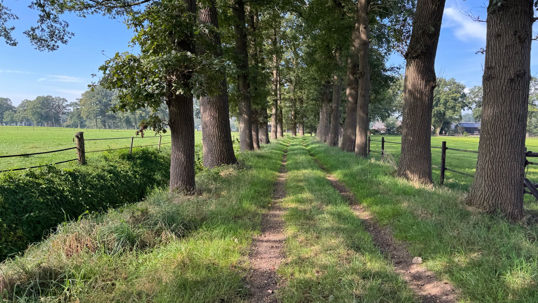 A quiet rural lane near a screened compound, parked motorbikes and distant poultry sounds creating cautious tension