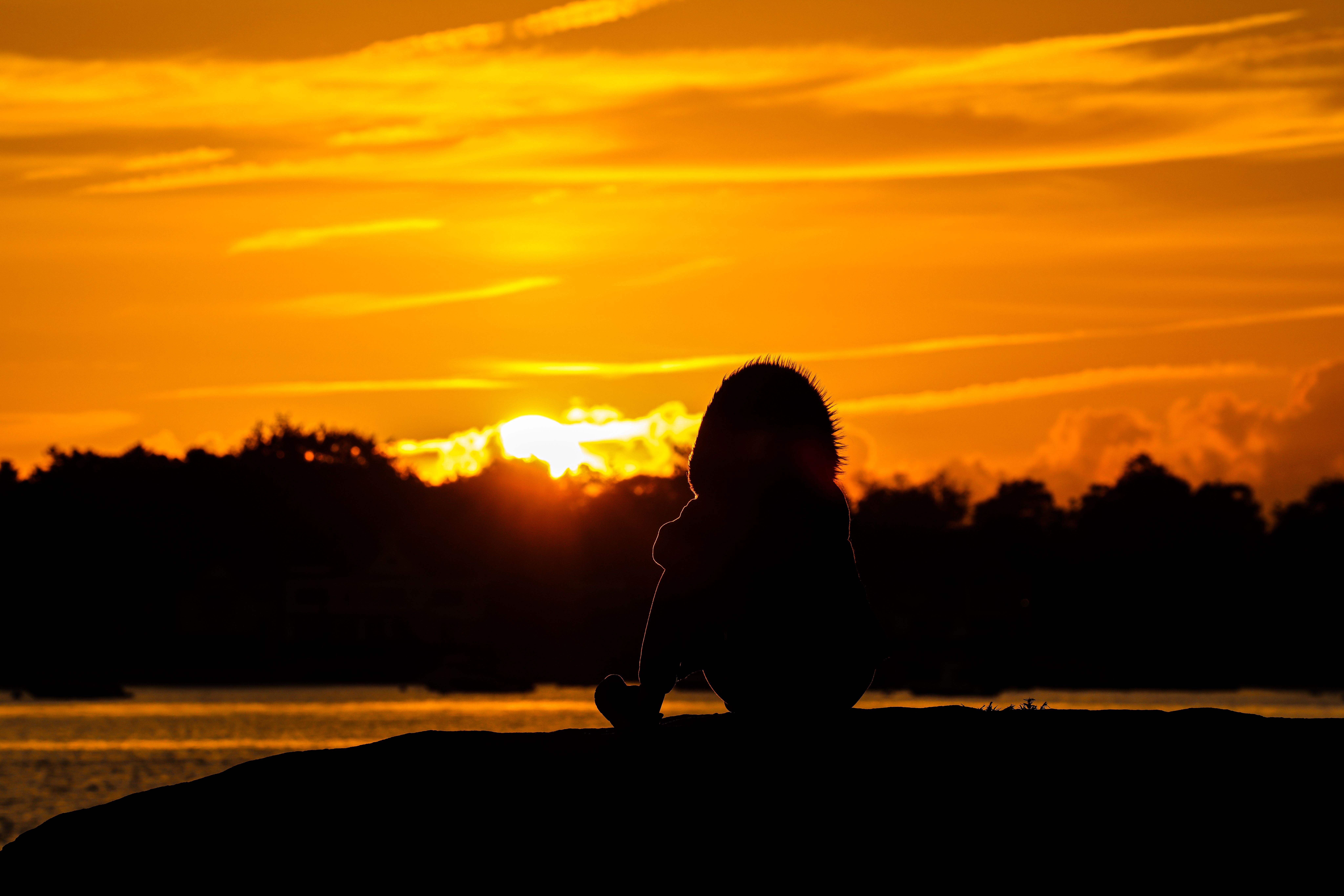 The Golden Harvest: A Deep Gratitude Ceremony for the Soul