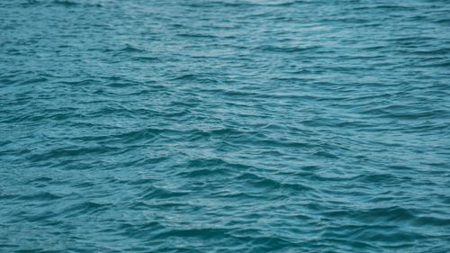 Free Tranquil image of blue ocean water with gentle ripples, evoking calmness and peace. Stock Photo
