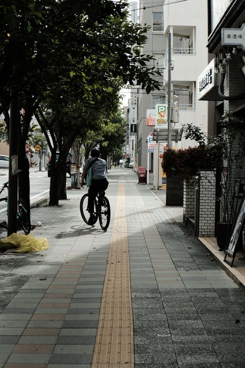 Free A cyclist rides through a tree-lined urban street in daylight, offering a glimpse into daily city life. Stock Photo