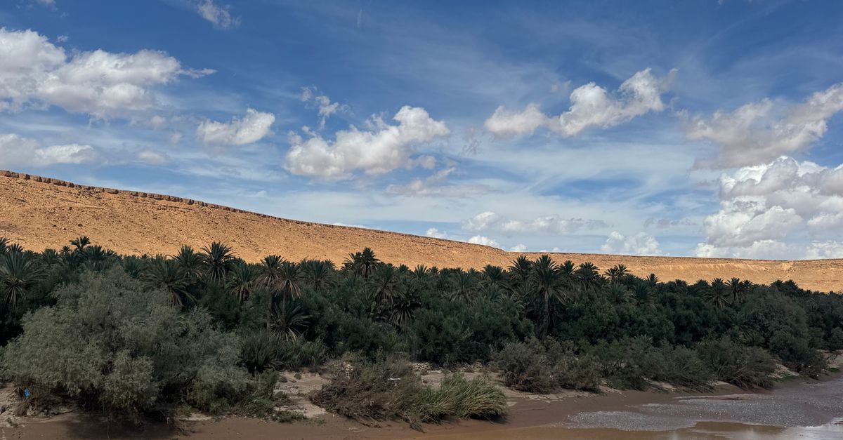 Voyage Maroc Tout Compris : Top Offres 2026