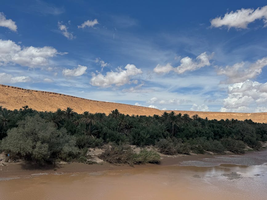 Breathtaking view of a lush oasis amidst the Moroccan desert under a bright blue sky.