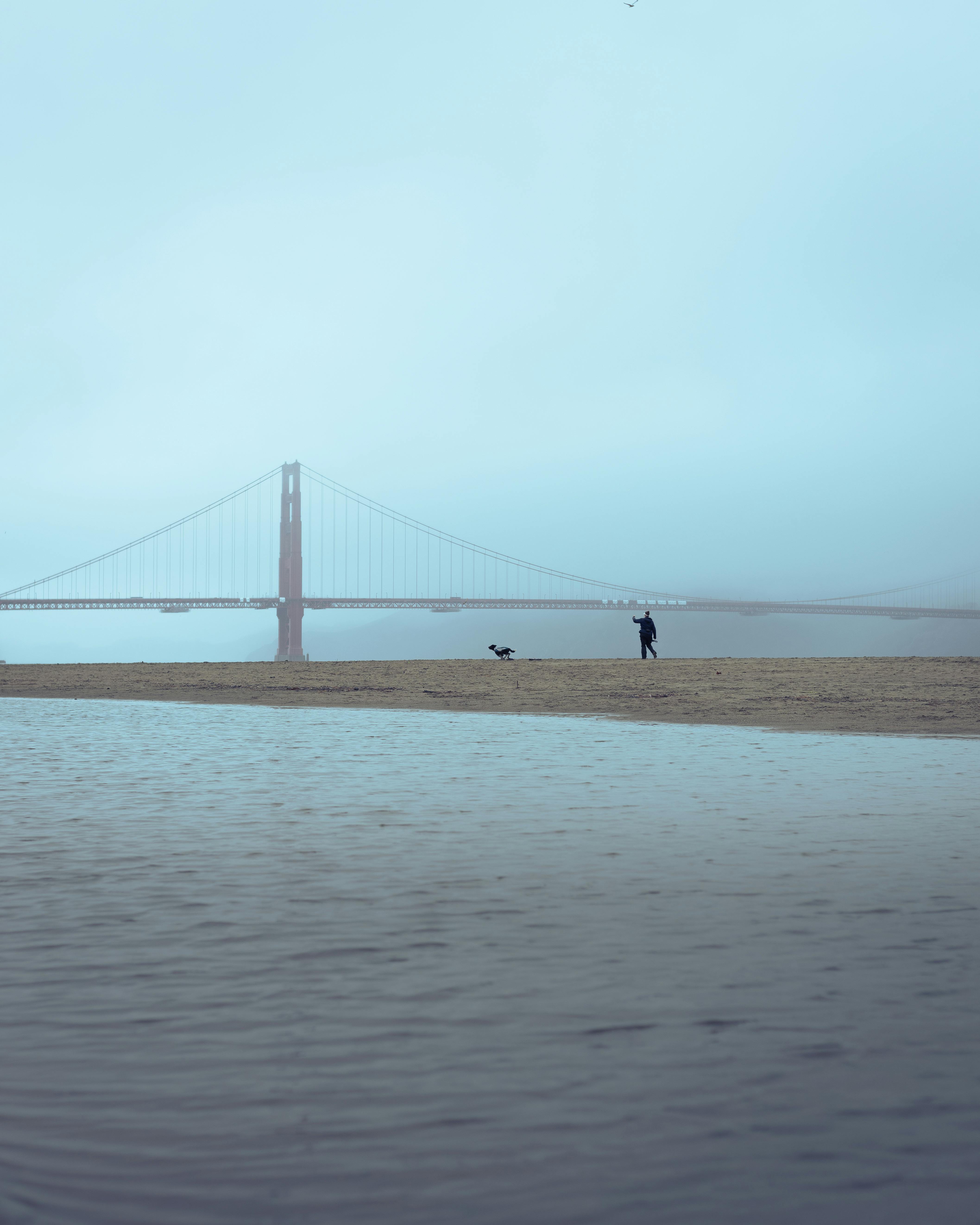 PACIFIC OCEAN GOOGLE RATING visual data 2