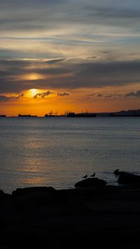 Serene view of a golden sunset over a peaceful ocean with distant ships.