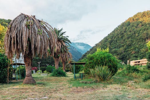 Lush greenery and mountains in Гагра create a tranquil landscape with palm trees and natural beauty.